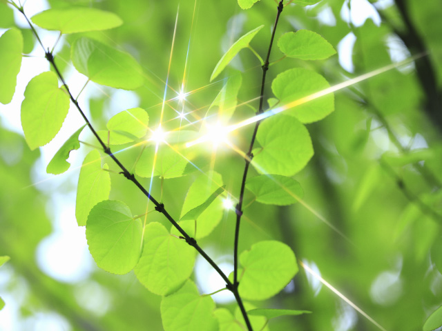 てのひらの手紙