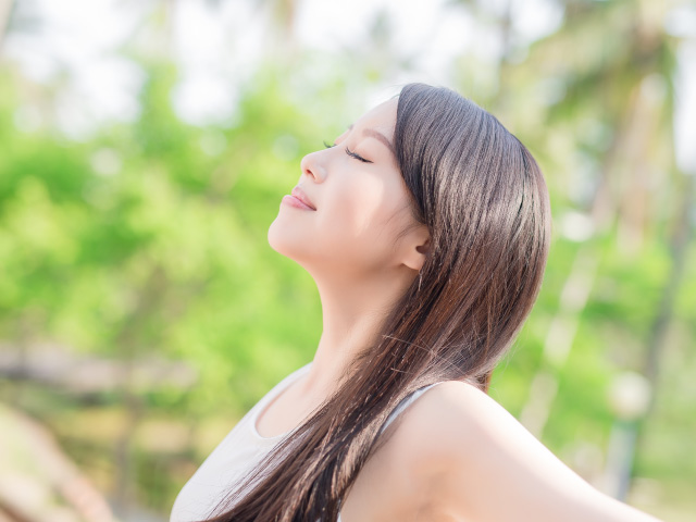 てのひらの手紙