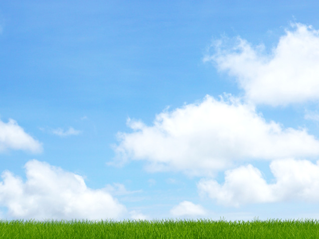 てのひらの手紙